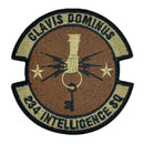 234th Intelligence Squadron Patch - USAF OCP
